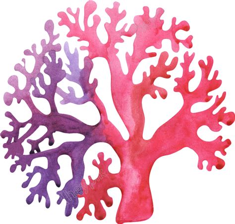 Download Hand Painted Exotic Coral Png Transparent Portable Network