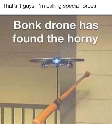 Commence Bonk Go To Horny Jail Know Your Meme