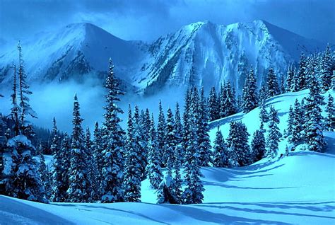 Invierno Nevado Nieve árboles Paisaje Montañas Fondo De Pantalla