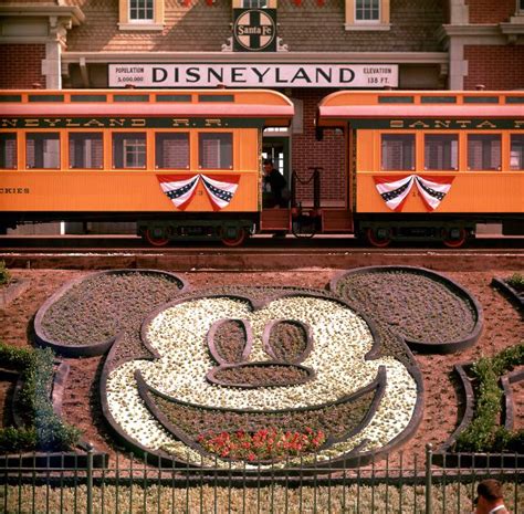 Beautiful Vintage Color Photos Of Disneyland On Its Opening Day In 1955