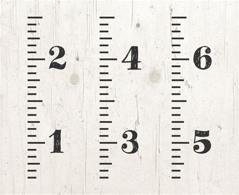 Growth Chart Svg Growth Ruler Svg Loved Beyond Measure Svg Wall