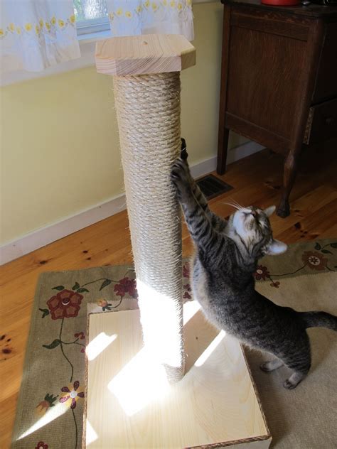 Giveaway Vertical Scratching Post And Perch From Mountain Cat Trees