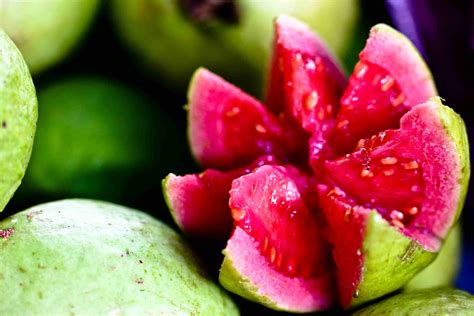 Guava Tropikal Meyveler