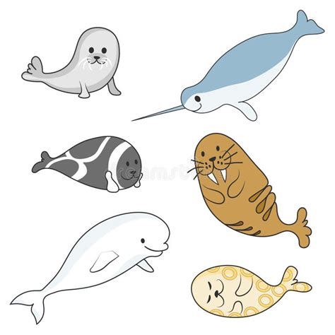 Arctic Marine Mammals Set Seals And Walrus Vector Cartoon Color Image