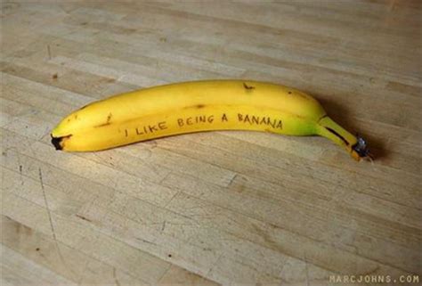 Funny And Random Pictures 39 Pics Banana Banana Art Pics