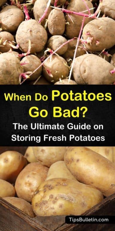 There are times when you'll turn the ignition switch and hear the starter. 5 Ways to Tell If Potatoes are Spoiled in 2020 | How to ...