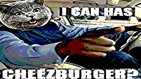 I Can Has Cheezburger Youtube