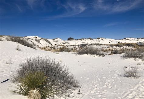 White Sands National Monument Alamogordo New Mexico Hank And Kathy