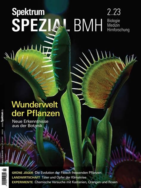Spektrum Der Wissenschaft Spezial Biologie Medizin Hirnforschung Nr2 2023 Download Pdf