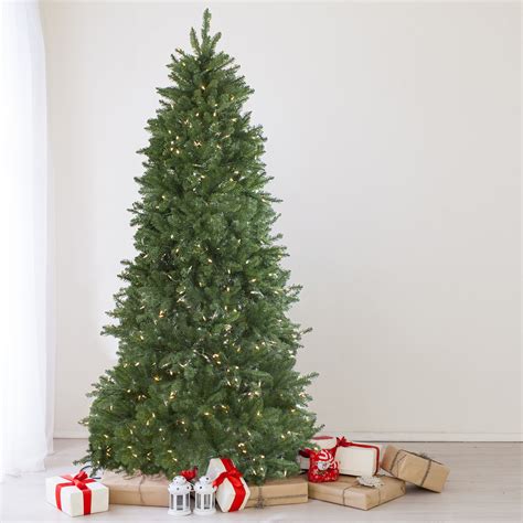 12 Pre Lit Instant Connect Led Neola Fraser Fir Artificial Christmas