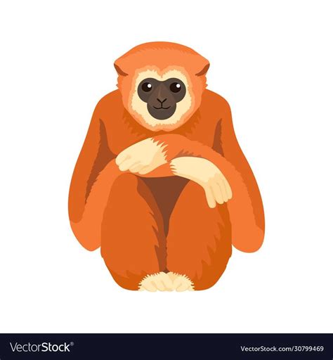 Gibbon Primate Mammal Monkey In Wildlife Vector Illustration