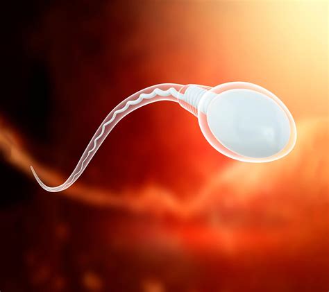 Looming Crisis Alarming Study Shows Significant Decline In Sperm
