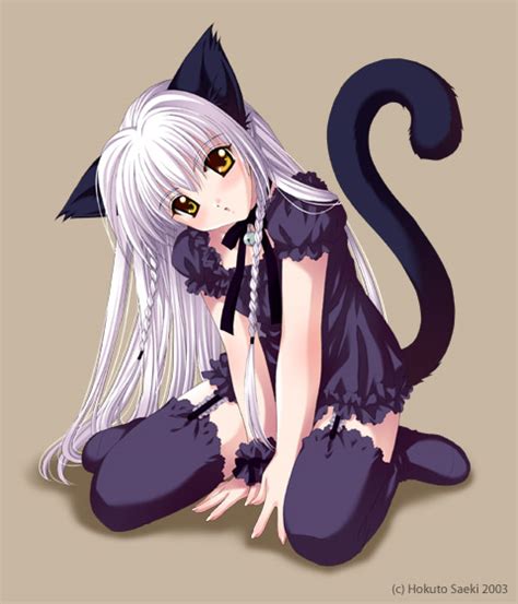 cute anime cat catgirls photo 27758992 fanpop page 3