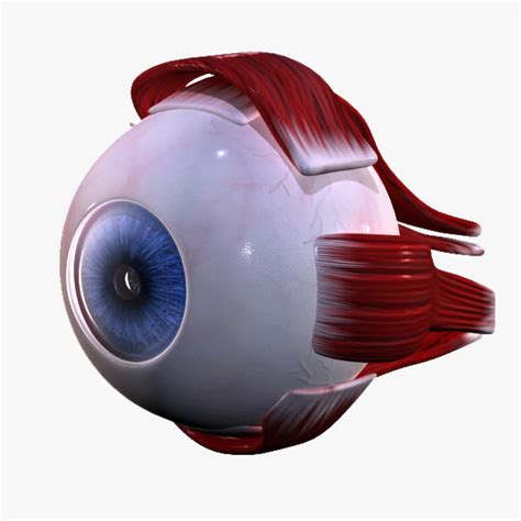 Eye Eyeball Ball 3ds