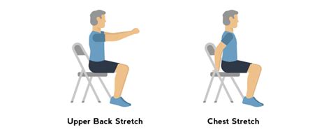 Exercises For Seniors The Complete Guide