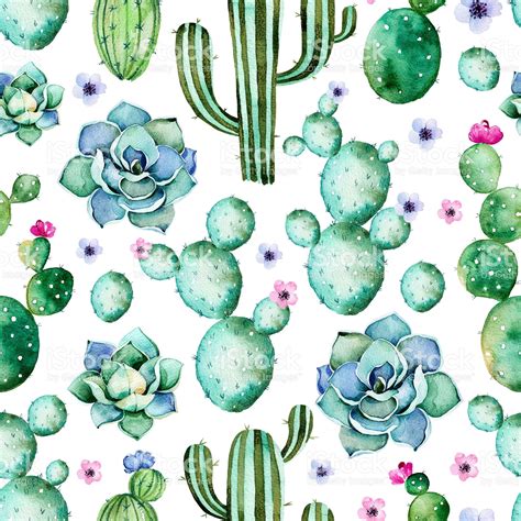 Seamless Pattern With Watercolor Cactus Plantssucculents Royalty Free