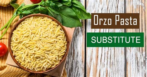 13 Best Recommended Orzo Pasta Substitutes |Ingredient - Recipes