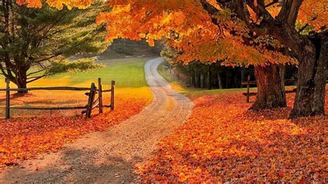 Beautiful Fall Backgrounds 50 Images