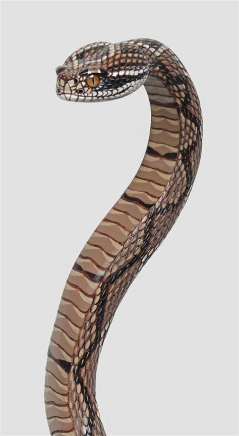 Wood Carved Rattlesnake Walking Cane By Stinnettstudio On Etsy