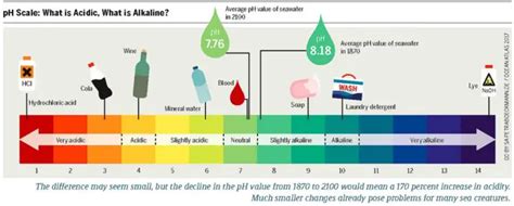 The Best Ph For Drinking Water Explained In Layman S Terms