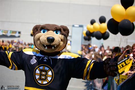 Blades Boston Bruins Sportsmascots Wikia Fandom