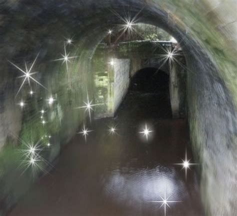 🍨 ”♡ᵎ꒱ˀˀ ↷𝗏𝗊𝗅𝗄𝗒𝗋𝗂𝖾 | Goth fairy, Grunge aesthetic, Dark aesthetic