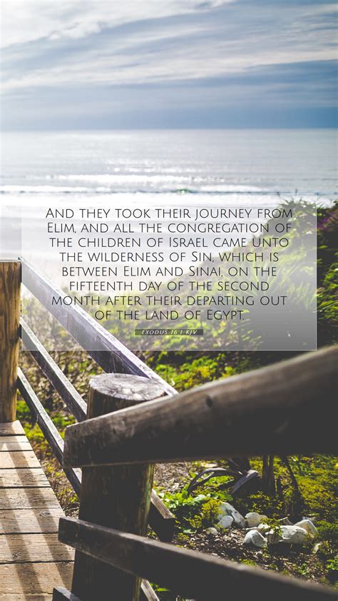 Exodus 161 Kjv Mobile Phone Wallpaper And They Took Their Journey