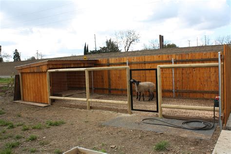 Home Made Energy Goat Pen Sheep House Goat House