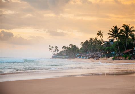 Pptx Best Beaches In Sri Lanka Dokumen Tips My XXX Hot Girl