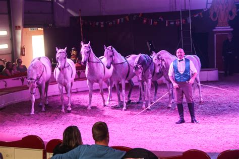 Circus In Denmark