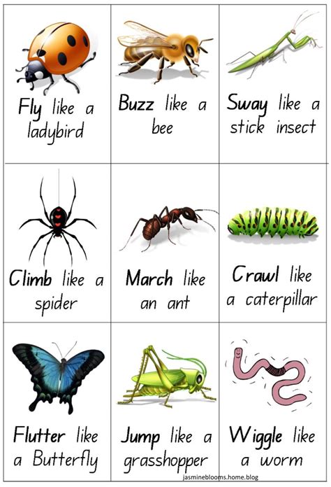Insect Bugs Action Cards Jasmine Blooms Gross Motor Or Brain Break