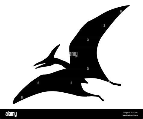 Pterodactyl Silhouette Vector Art White Background Stock Vector Image