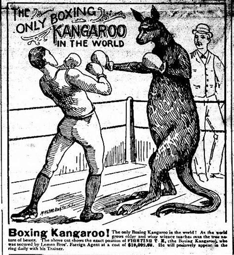 Early Sports And Pop Culture History Blog Australias