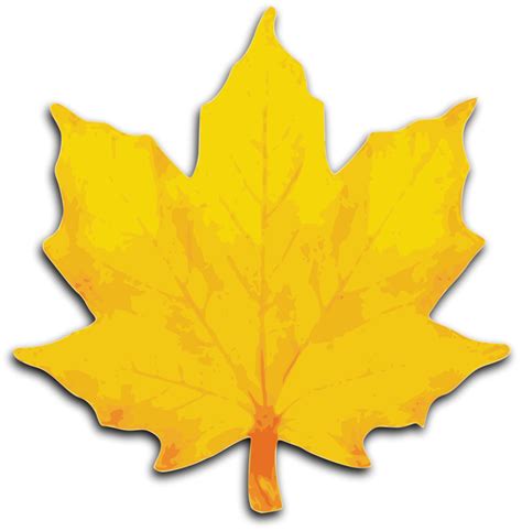 Download High Quality Leaves Clipart Yellow Transparent Png Images