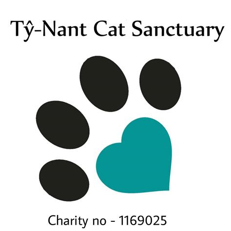 Ty Nant Cat Sanctuary Cymmer