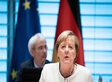 German Cabinet approves 2021 budget with high borrowing Budget ...