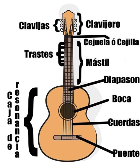 ᐈ Guitarra Clásica Española Partes Tipos Caracteristicas Música