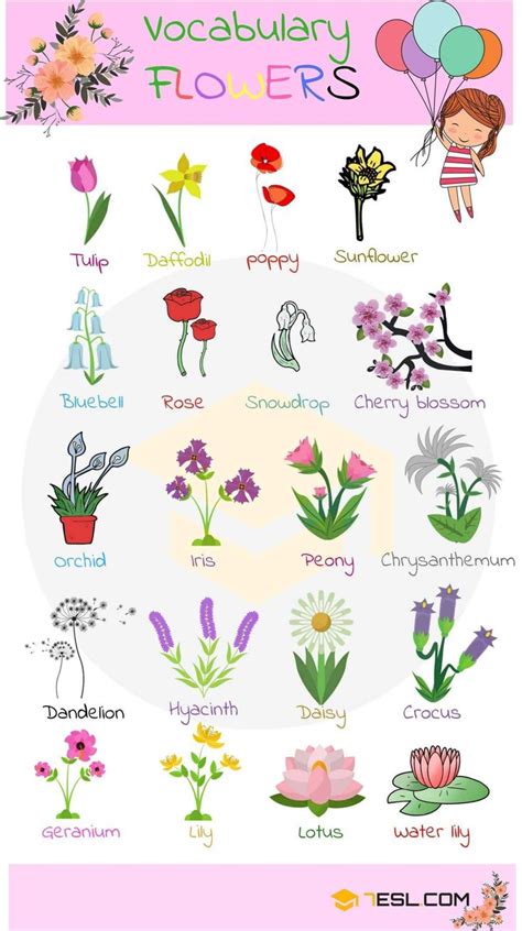 List Of Plant And Flower Names In English With Pictures 7esl English Vocabulary Flowers