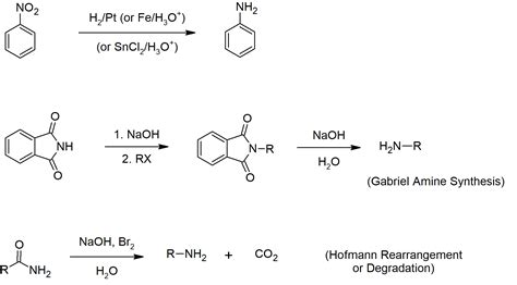 24s Amines And Heterocycles Summary Chemistry Libretexts