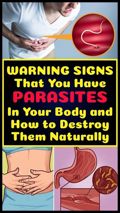 Warning Signs That You Have Parasites In Your Body And How To Destroy Them Naturally Daily