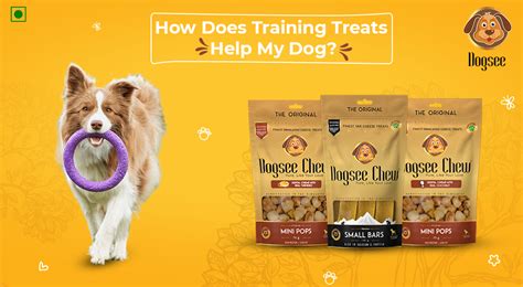 Should You Use Treats To Train A Dog