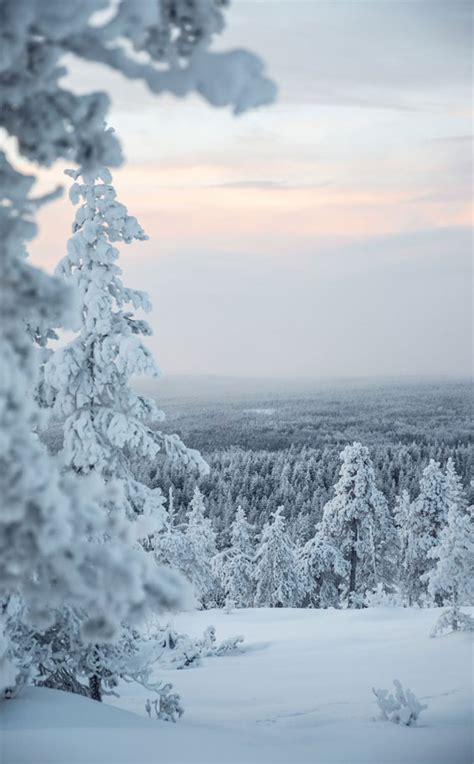 Top 36 Imagen Winter Aesthetic Background Vn