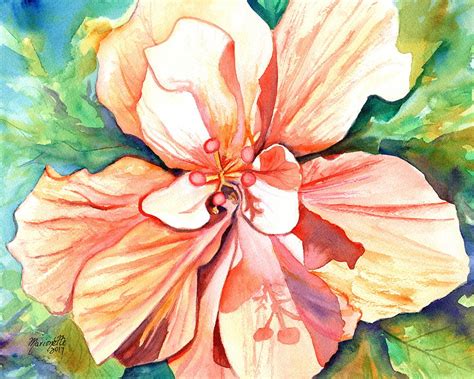 Double Peach Tropical Hibiscus Painting By Marionette Taboniar Fine