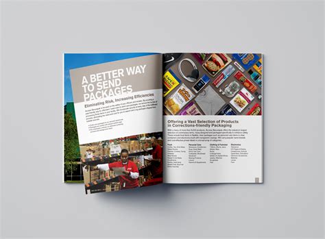 Access Securepak Image Brochure – Boyd Biermann's Portfolio