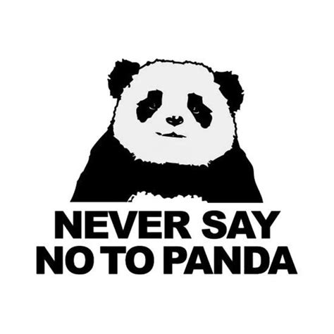 Never Say No To Panda Panda Funny Panda Art Panda