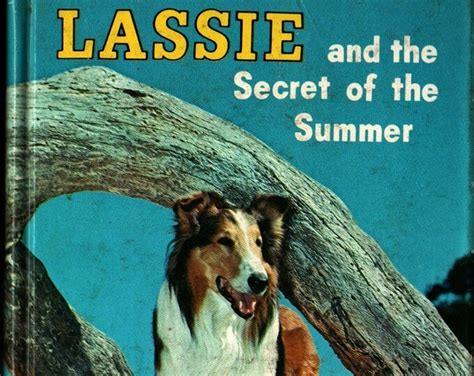 Lassie And The Secret Of The Summer Dorothea Snow Ken Etsy