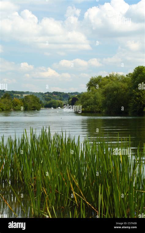 River Thames Path Summer Countryside Hi Res Stock Photography And