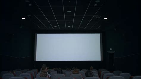 Audience Looking At White Screen In Cinema Hall Spectators Watching
