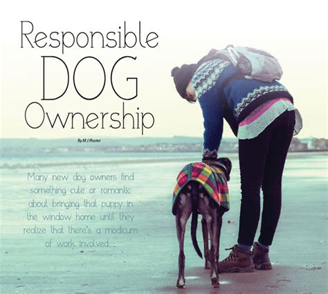 What Are The Most Important Responsibilities Of Owning A Dog