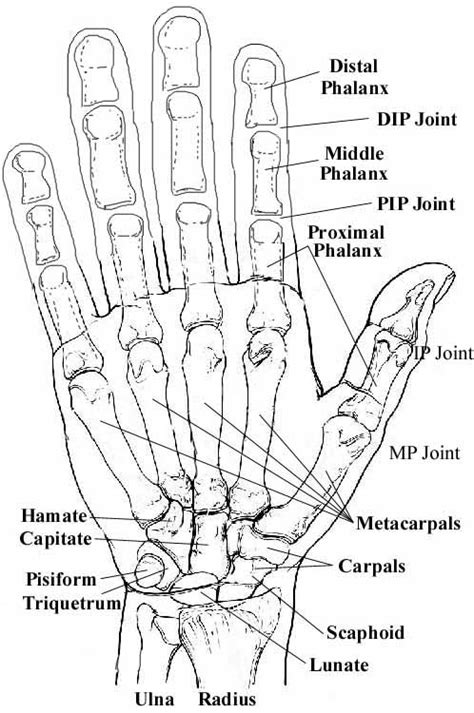 David Nelson Hand Surgery Greenbrae Marin Hand Specialist